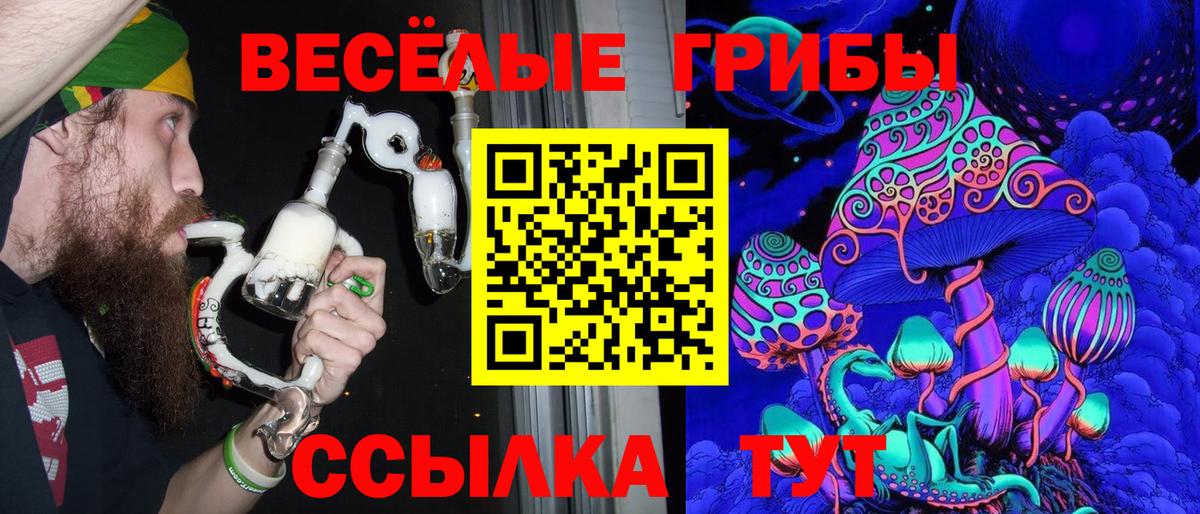 Галлюциногенные грибы прущие грибы  Вход с VPN  Киреевск 