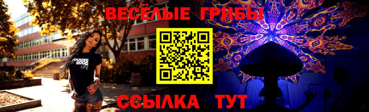 Галлюциногенные грибы мицелий Киреевск